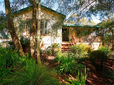 Mount Victoria at its best! Picture