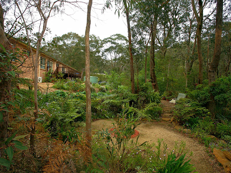 A Wonderful Natural Environment Picture 1