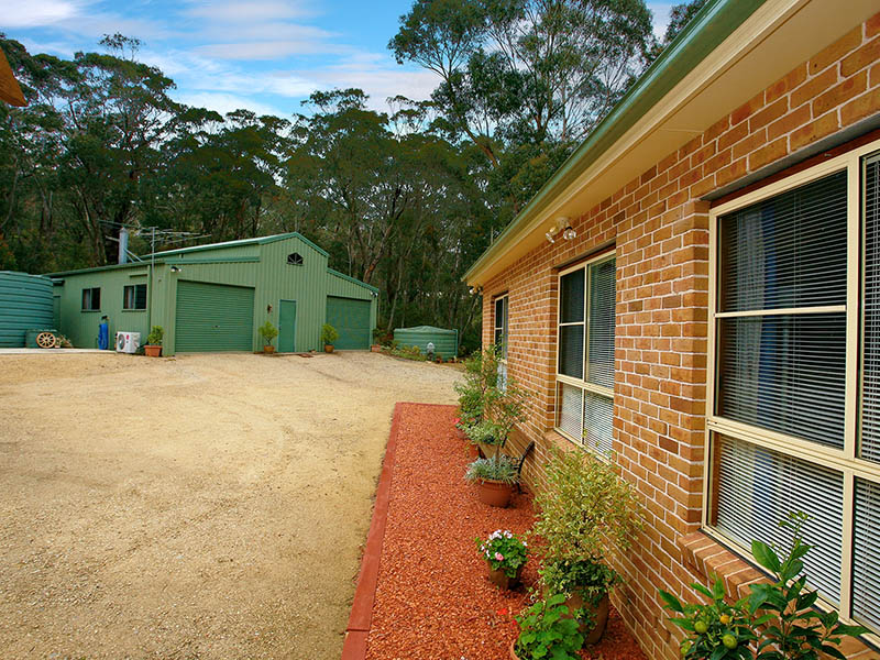 A Wonderful Natural Environment Picture 3