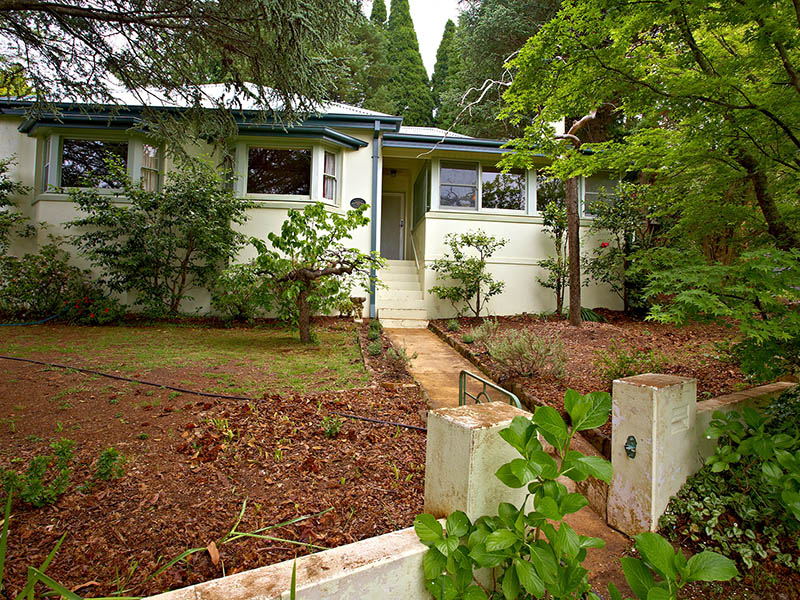 Misty Maples Picture 1