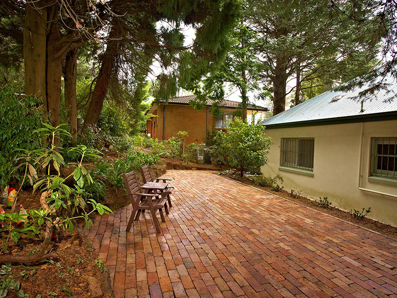 Misty Maples Picture 3