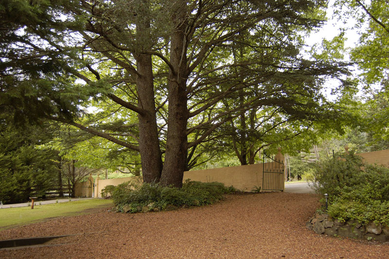 An Elegant Estate Picture