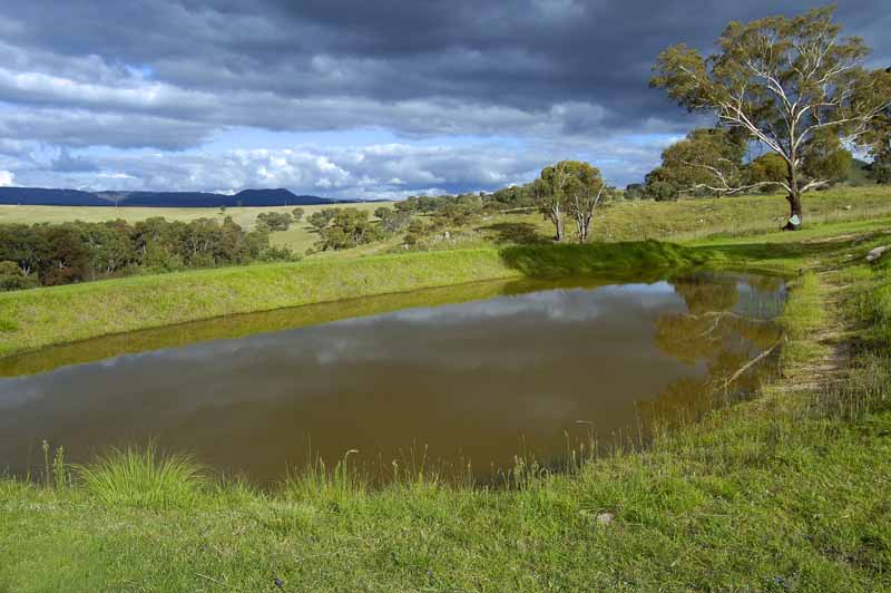 VERY VERY KEEN VENDORS Picture
