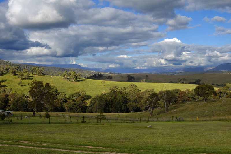 VERY VERY KEEN VENDORS Picture