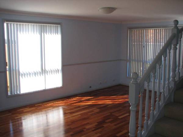 HIGH & HANDSOME Picture 2