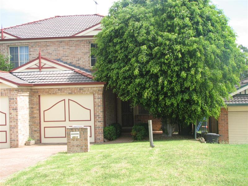 ATTENTION INVESTORS Picture 1