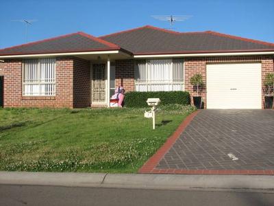 AVAILABLE NOW!!! Picture