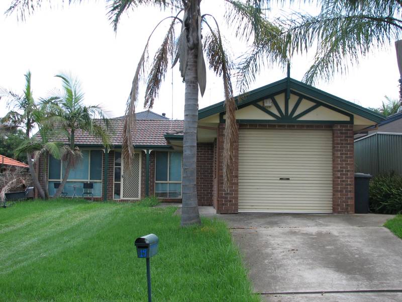 HERE TODAY - GONE TOMORROW Picture 1