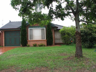 IT WON'T LAST Picture