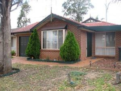 FRESHLY PAINTED AND NEW CARPET Picture