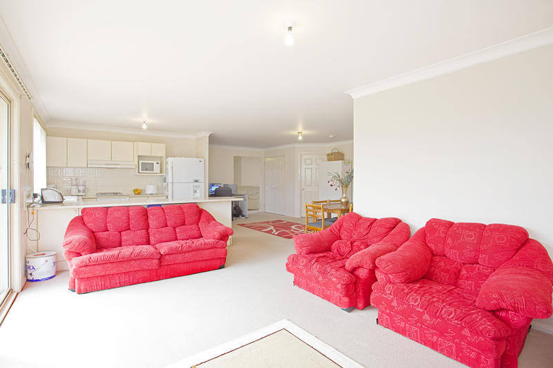 REALISITIC VENDOR Picture 3