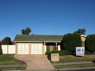 Large 5 Bedda Picture 1