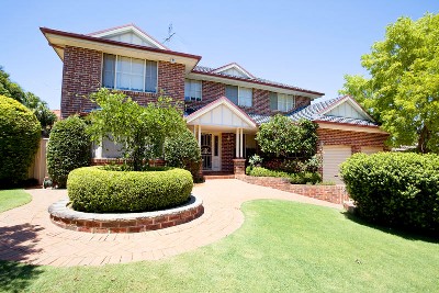 SUMMER POOLSIDE PARTIES Picture