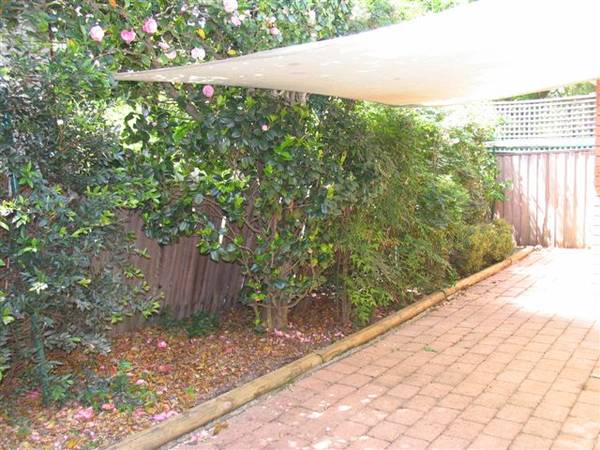 Rare Villa in convenient location Picture 2