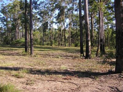 Verges Creek - First Time Listed Picture