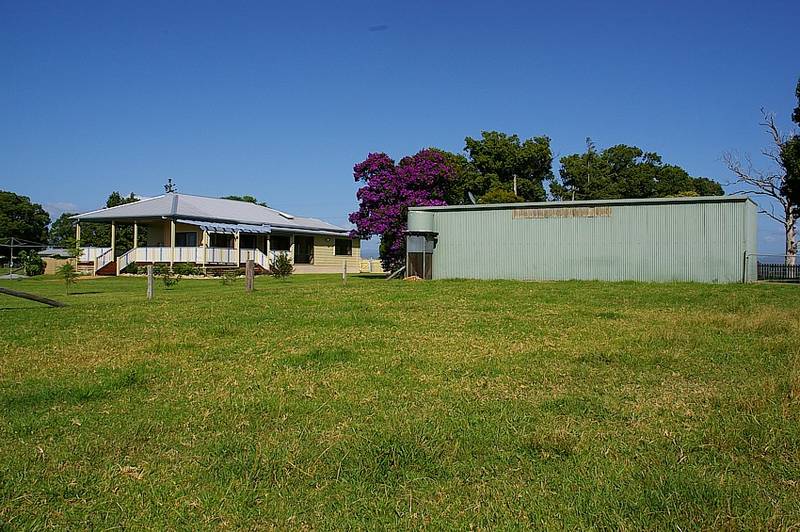 Hit the Deck Picture 3