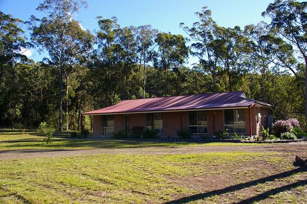 Bush and Beach Picture