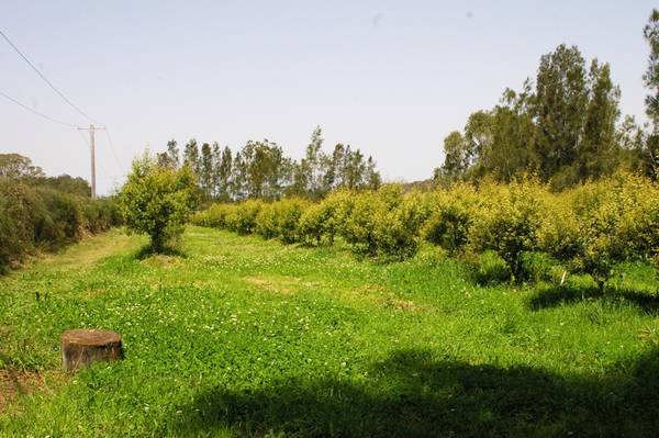 Perfect for transport operators Picture 3