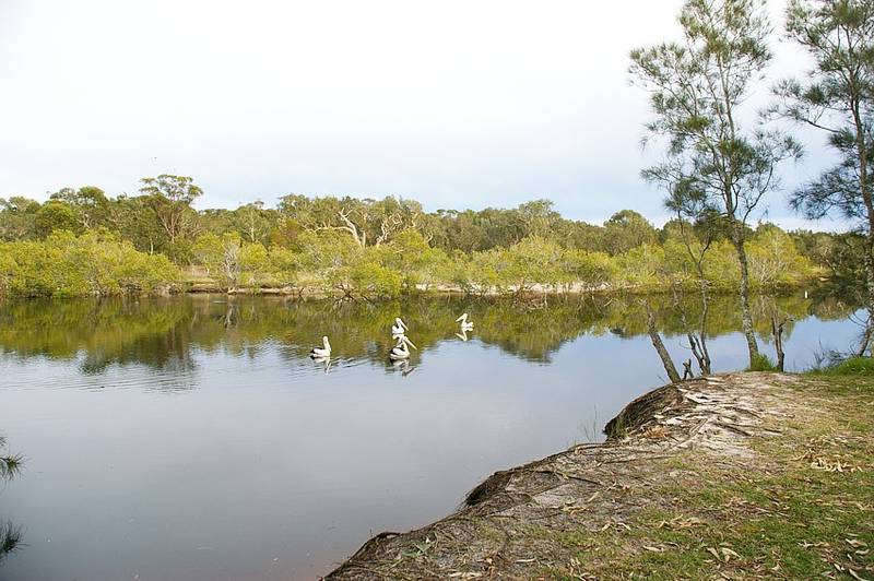 Beside the Ocean Picture 2