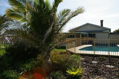 Surf and Turf Picture