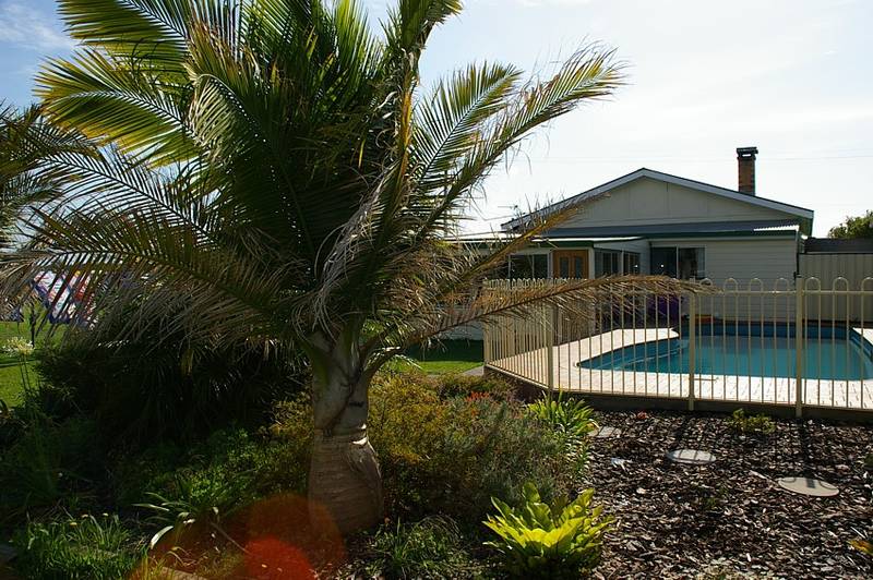 Surf and Turf Picture 1