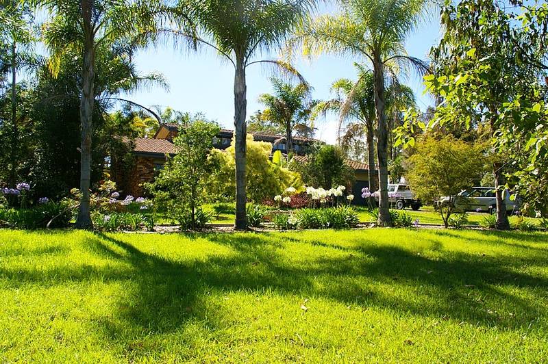 A little bit extra Picture 1