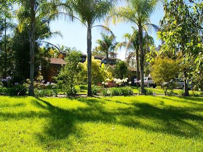 A little bit extra Picture