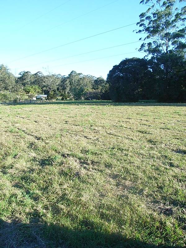 Looking for a productive Small Farm??? Picture 3