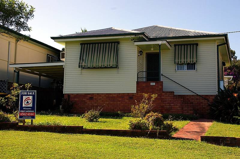 Amongst the Action Picture 1