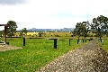 State Forest Frontage with Stunning Rural Views Picture