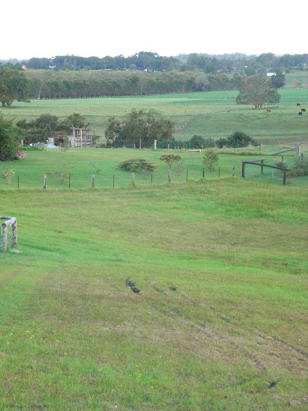 Its been a long time coming Picture 1