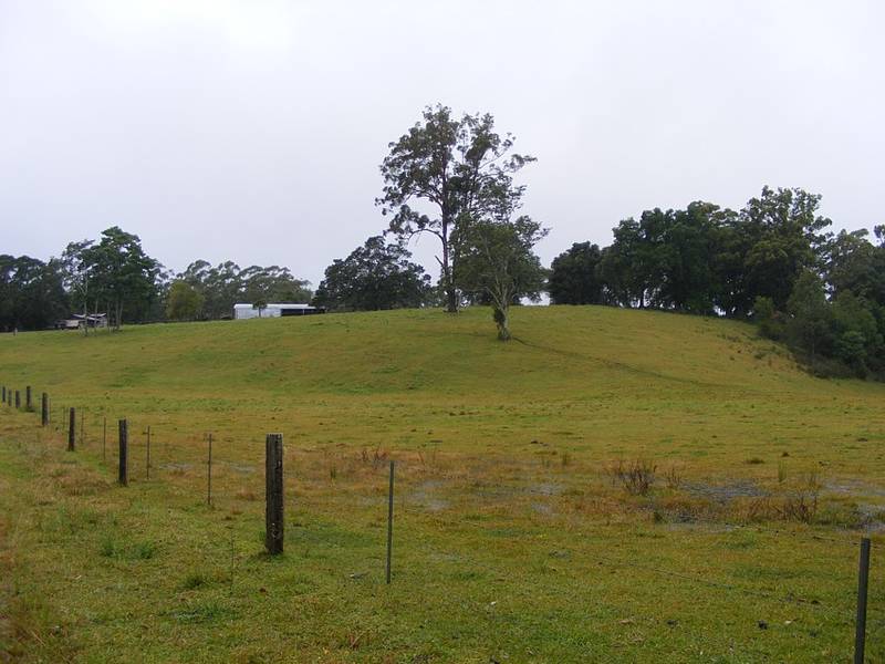 State Forest at your doorstep Picture 1