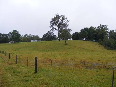 State Forest at your doorstep Picture