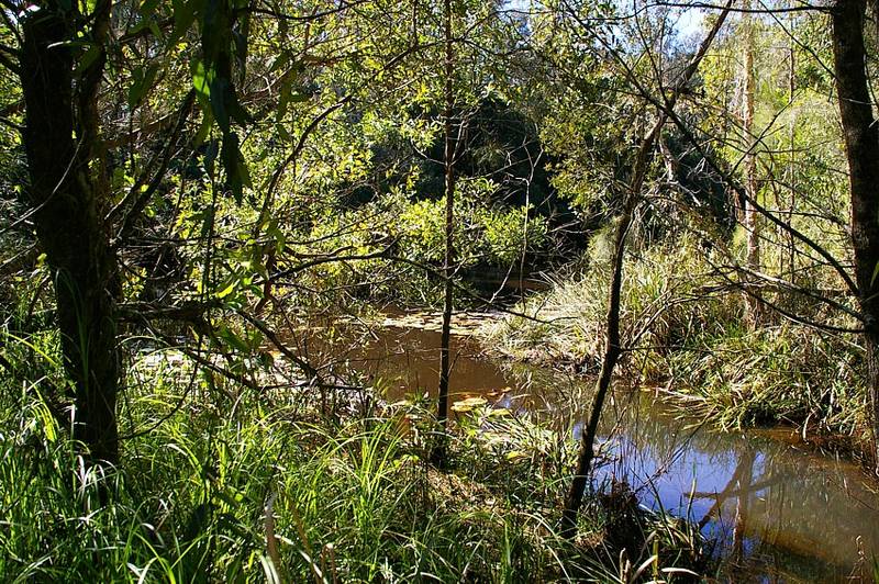 Often Sought - Seldom Available Picture 1