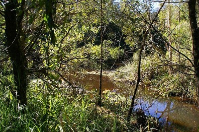 Often Sought - Seldom Available Picture