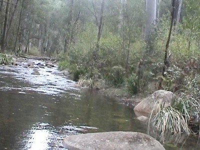 Large rural retreat Picture