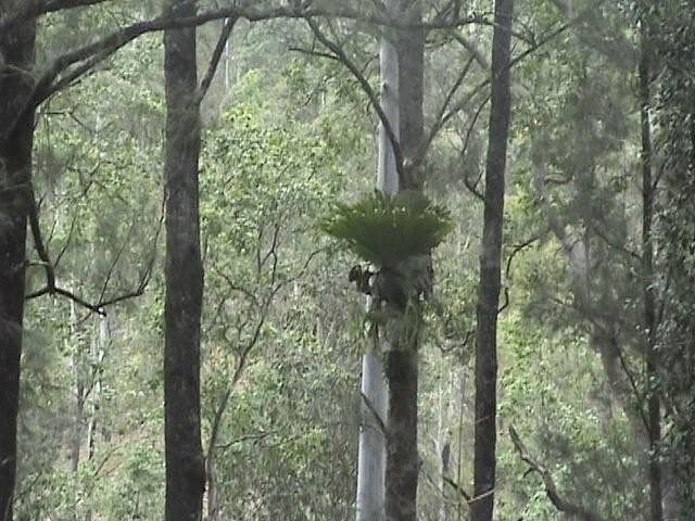 Large rural retreat Picture 2