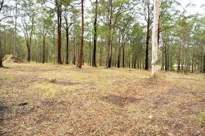 Welcome to your new home site Picture Welcome to your new home site Picture