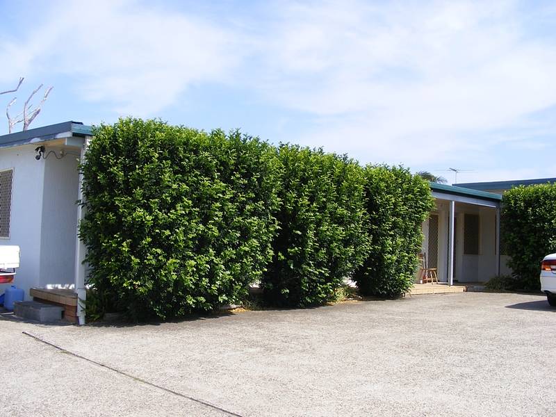 Life's A Beach Picture 2