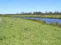 UNDER INSTRUCTIONS FROM MORTAGEE ABSOLUTE TIDAL WATER FRONTAGE Picture