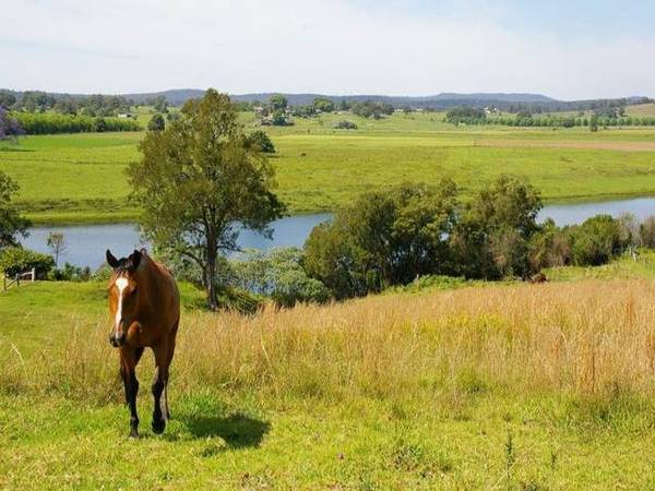 FLYING HIGH Picture 1