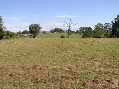 Take a trip to the "Promised Land" Picture