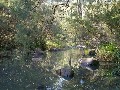 WATERFALLS, ROCKS, BUSHLAND AND GRAZING Picture