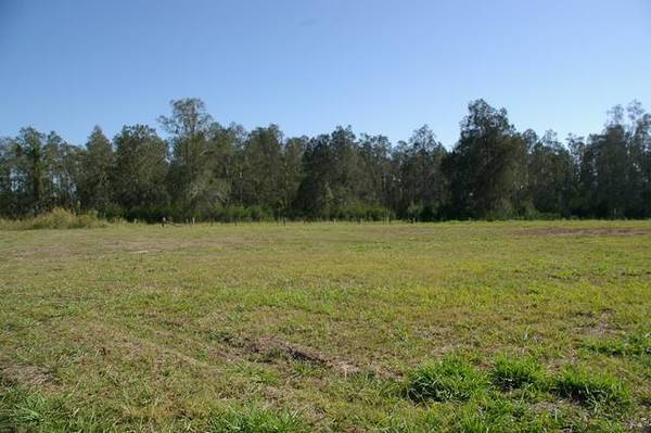 Build it at Bunya Picture 1