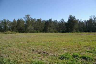 Build it at Bunya Picture