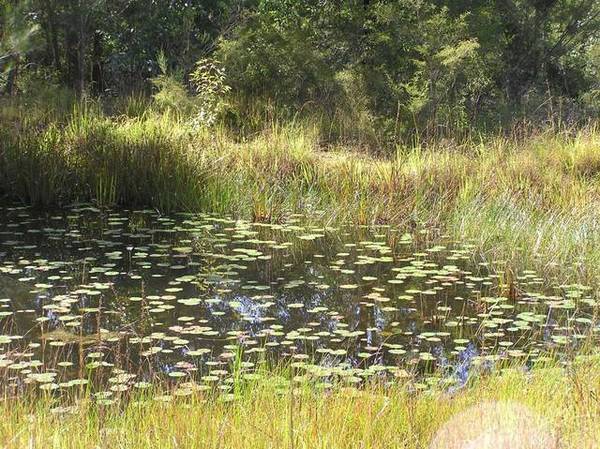 Get Amongst It Picture 2