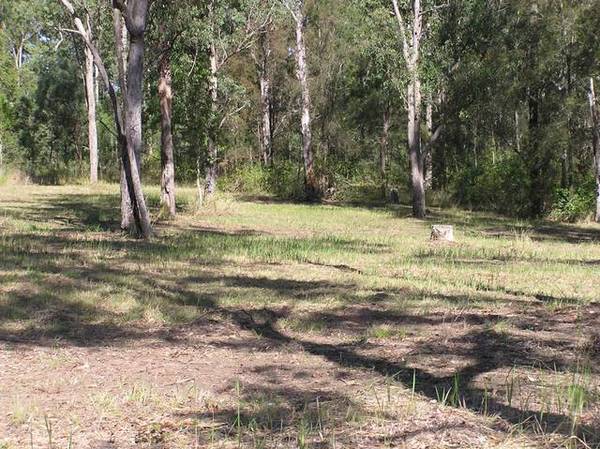 Get Amongst It Picture 3