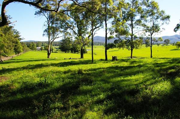 Often sought - Seldom Seen Picture 2