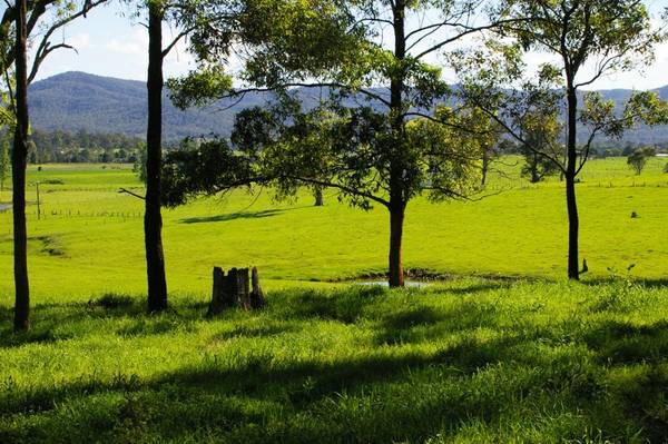 Often sought - Seldom Seen Picture 1