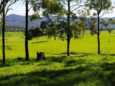 Often sought - Seldom Seen Picture